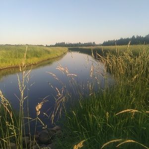 Meet your Posher, Robin